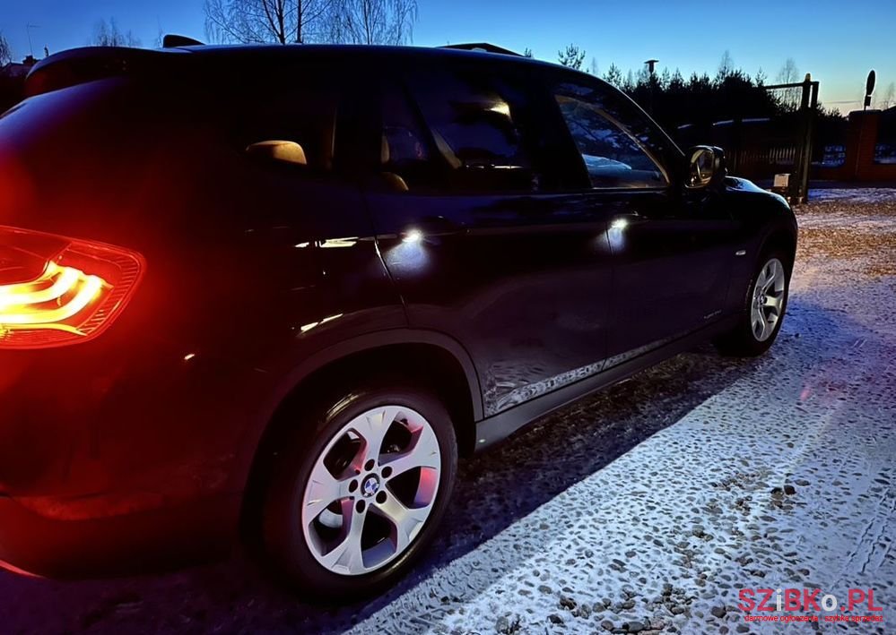 2012' BMW X1 Sdrive20D photo #2