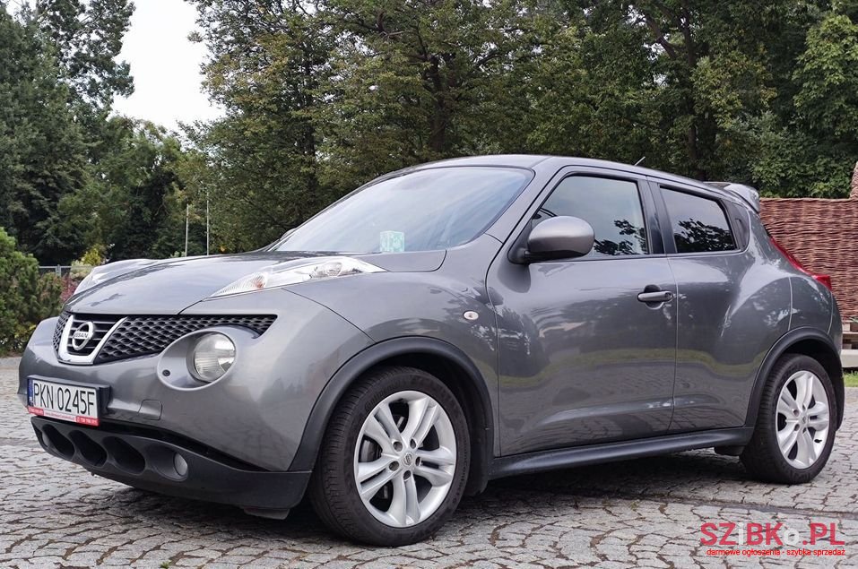 2013' Nissan Juke photo #1