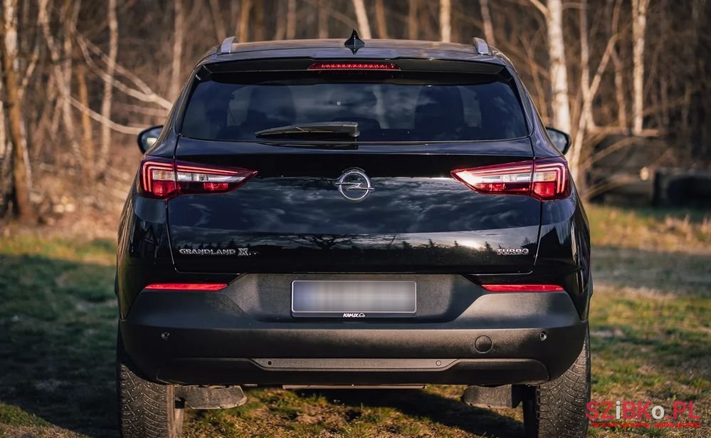 2018' Opel Grandland X photo #4
