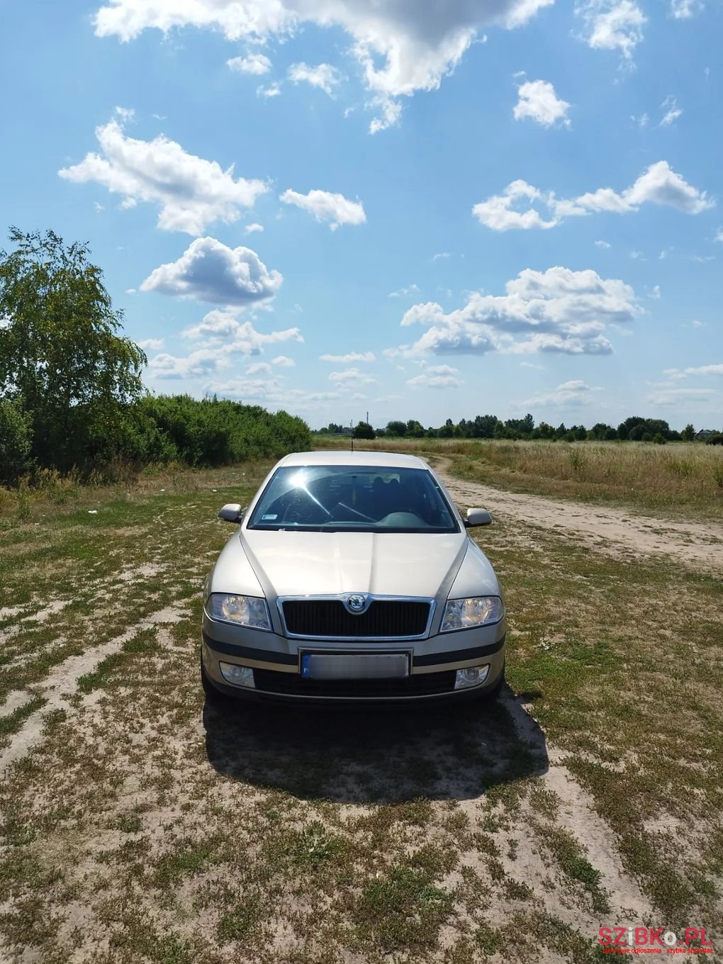 2005' Skoda Octavia photo #6