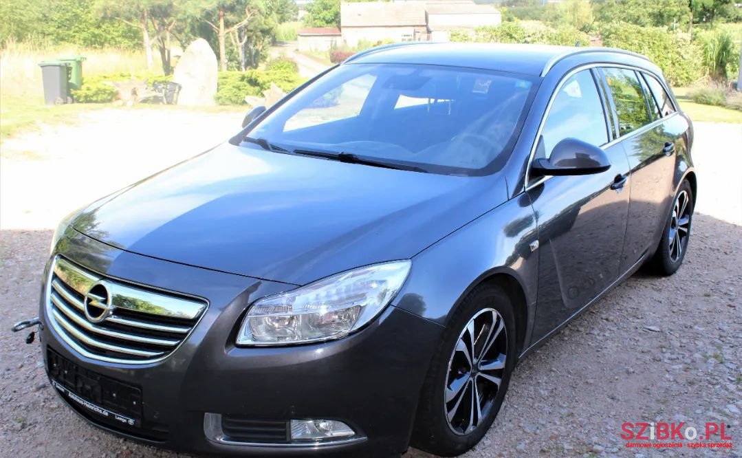 2009' Opel Insignia photo #1