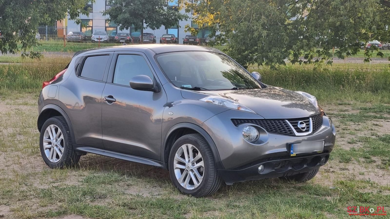 2013' Nissan Juke photo #5