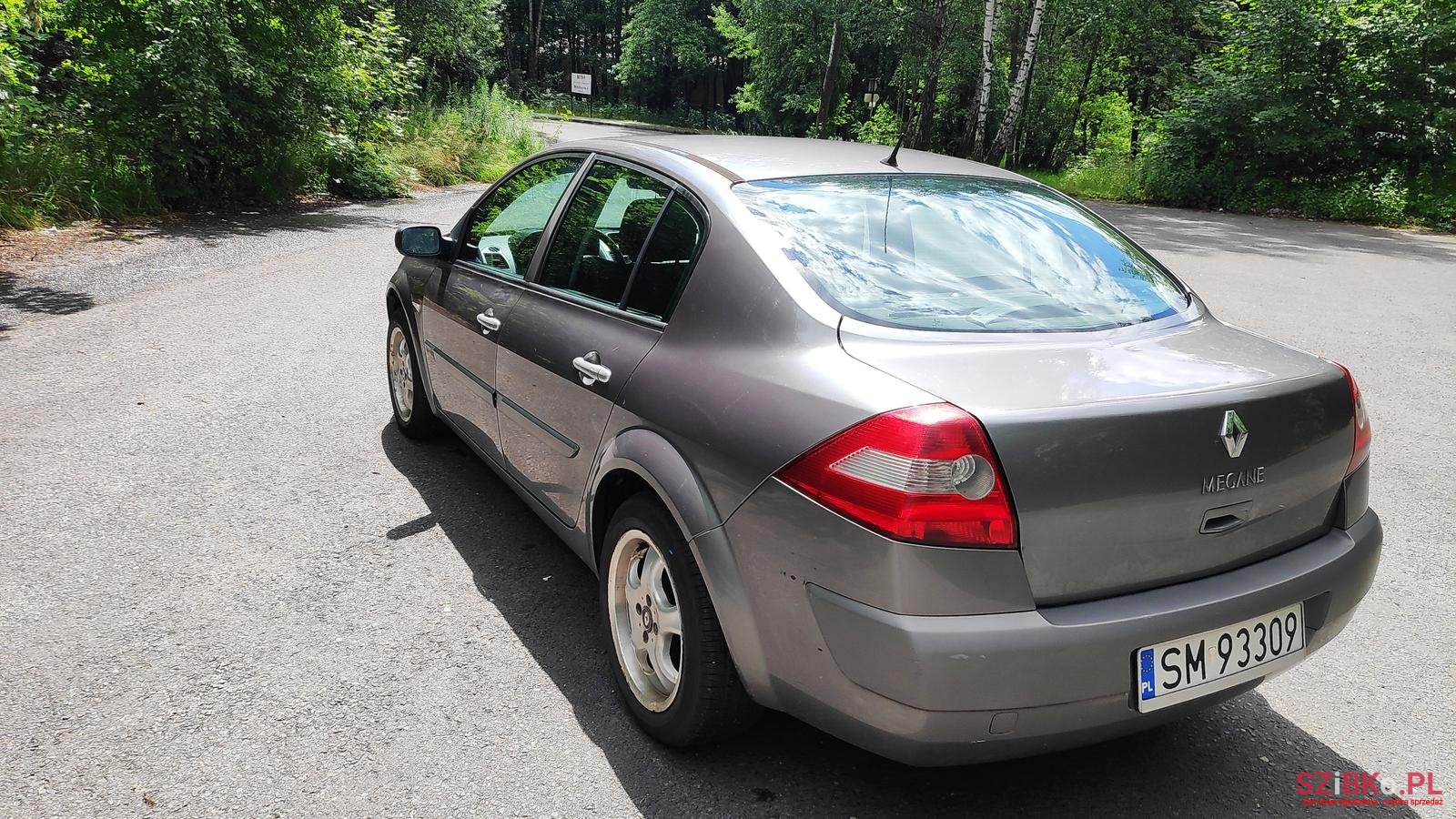 2003' Renault Megane photo #4