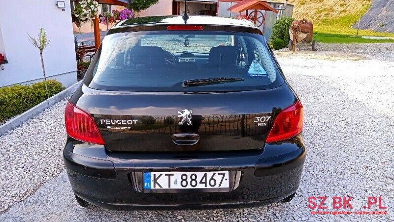 2002' Peugeot 307 photo #6