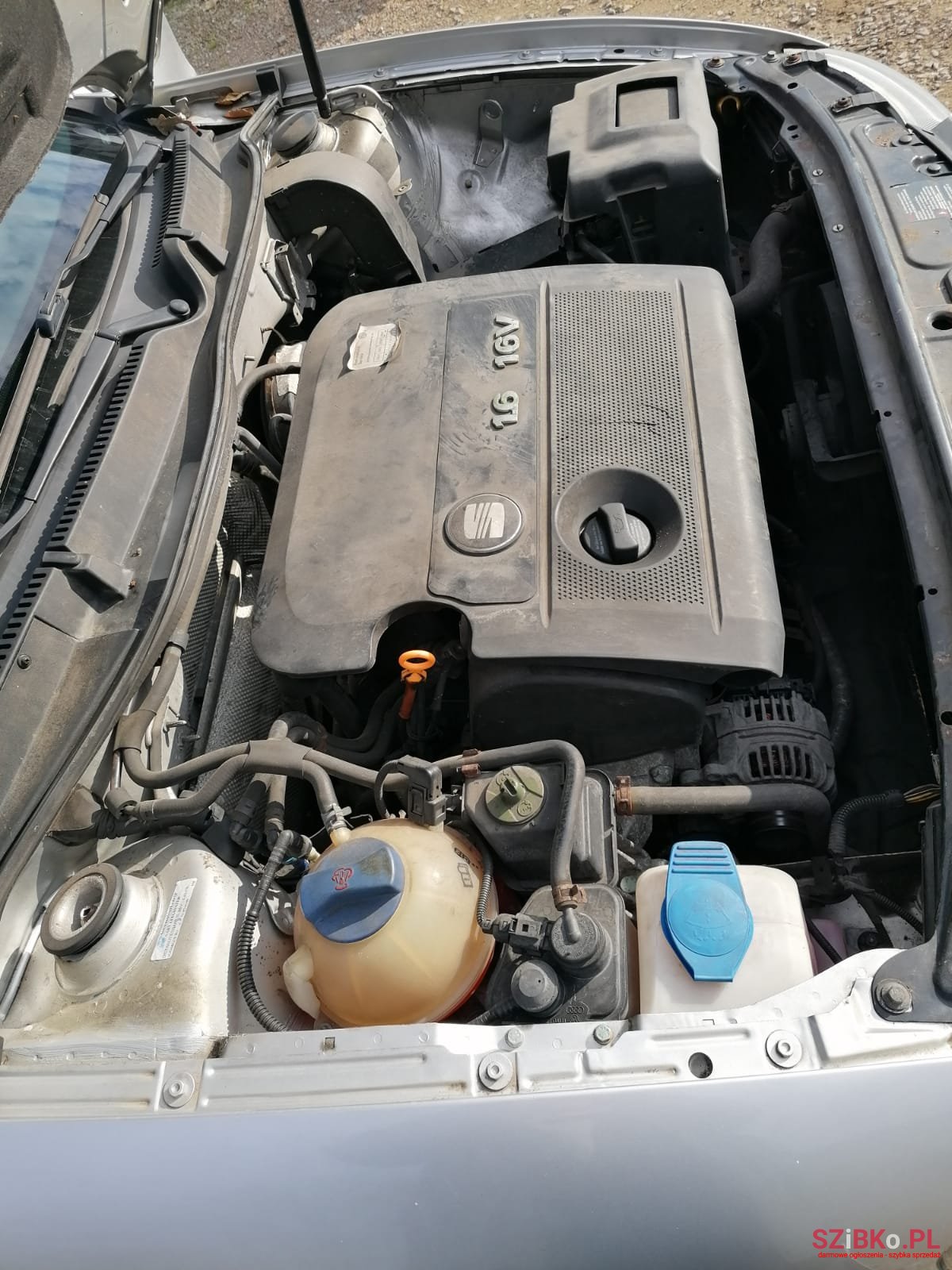 2001' SEAT Leon photo #7