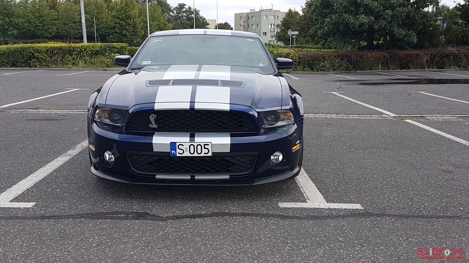 2011' Ford Mustang Shelby photo #1