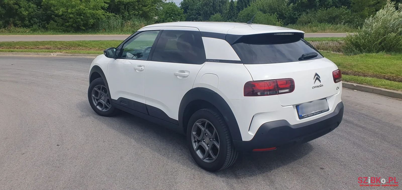 2018' Citroen C4 Cactus photo #4