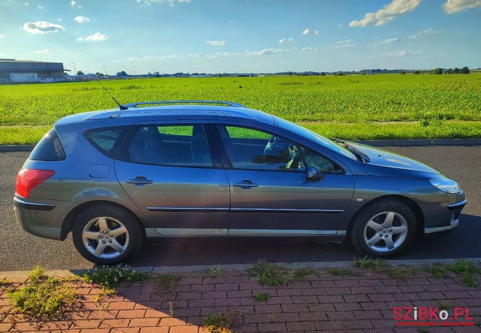 2005' Peugeot 407 photo #6