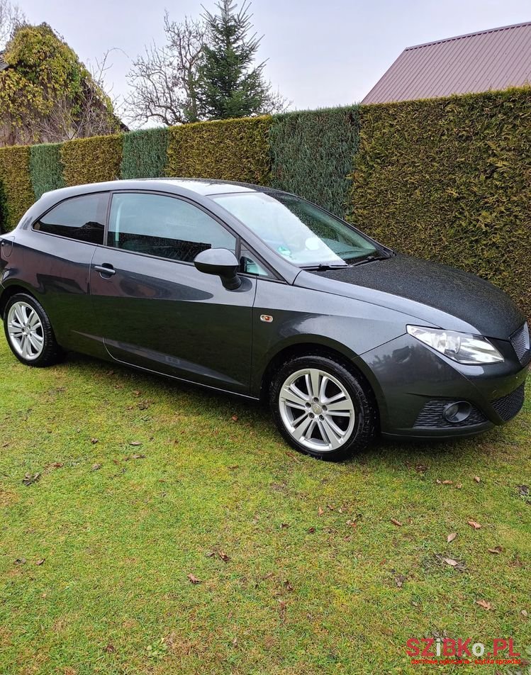2010' SEAT Ibiza photo #2