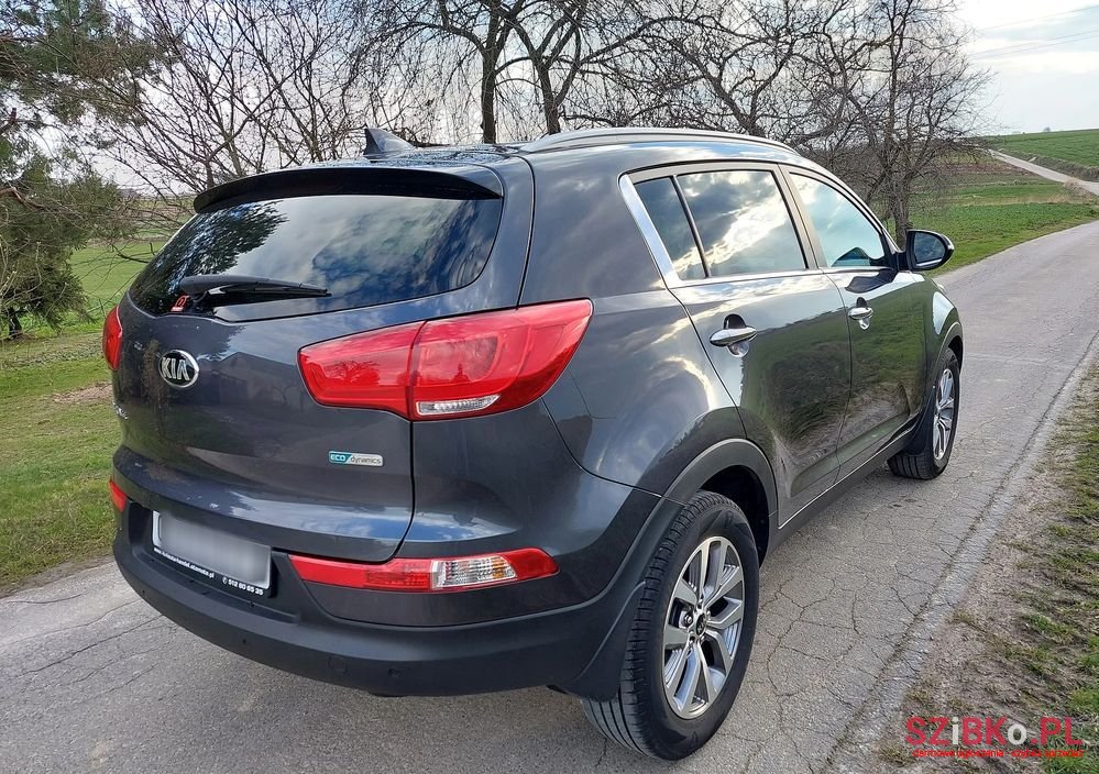 2015' Kia Sportage photo #5