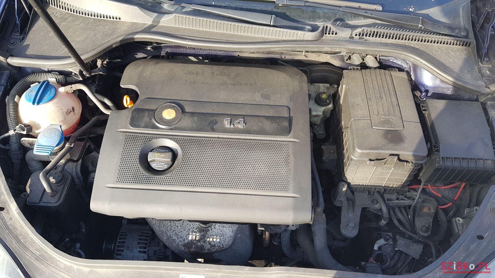 2004' Volkswagen Golf V photo #1