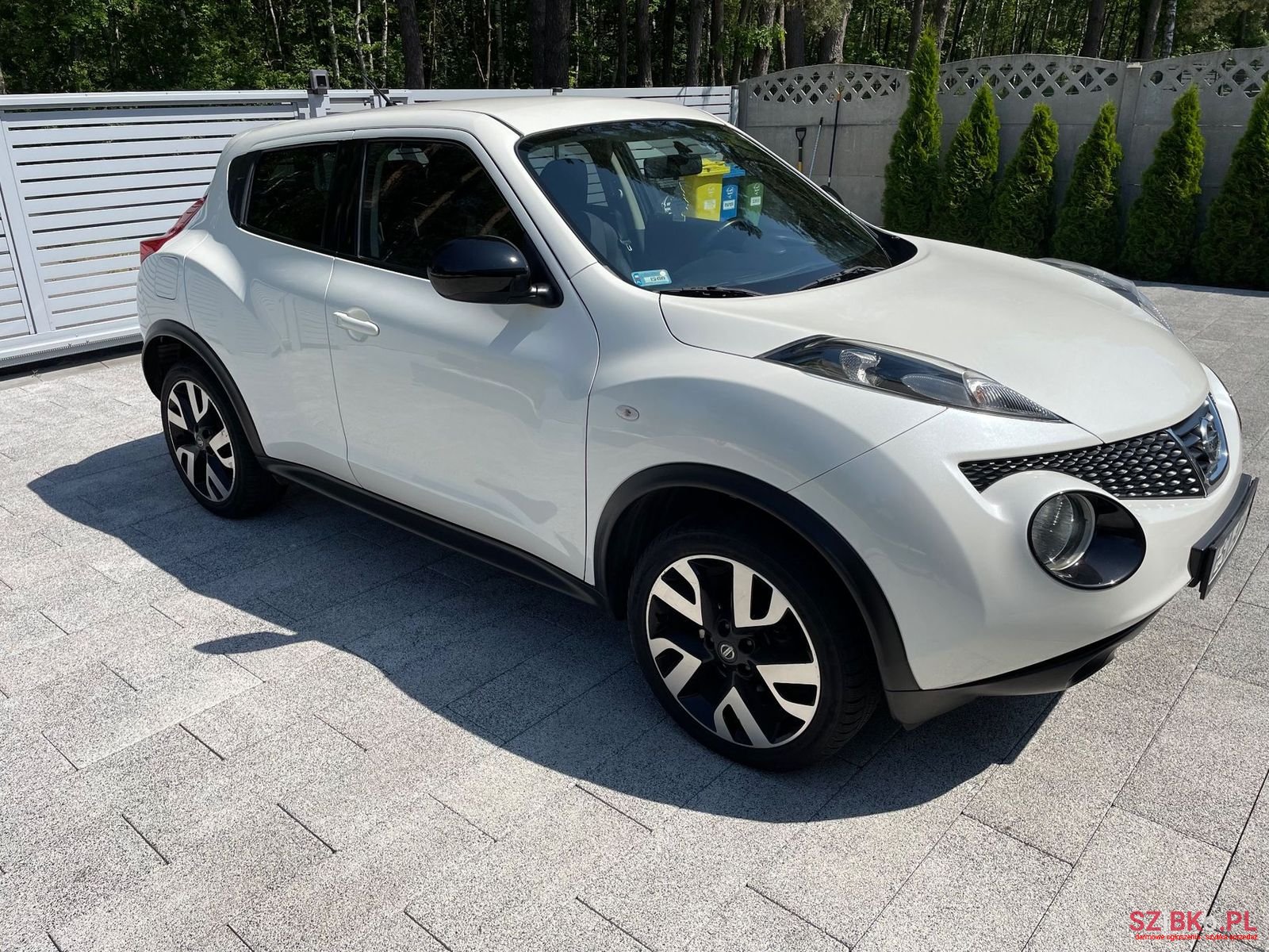 2013' Nissan Juke photo #2