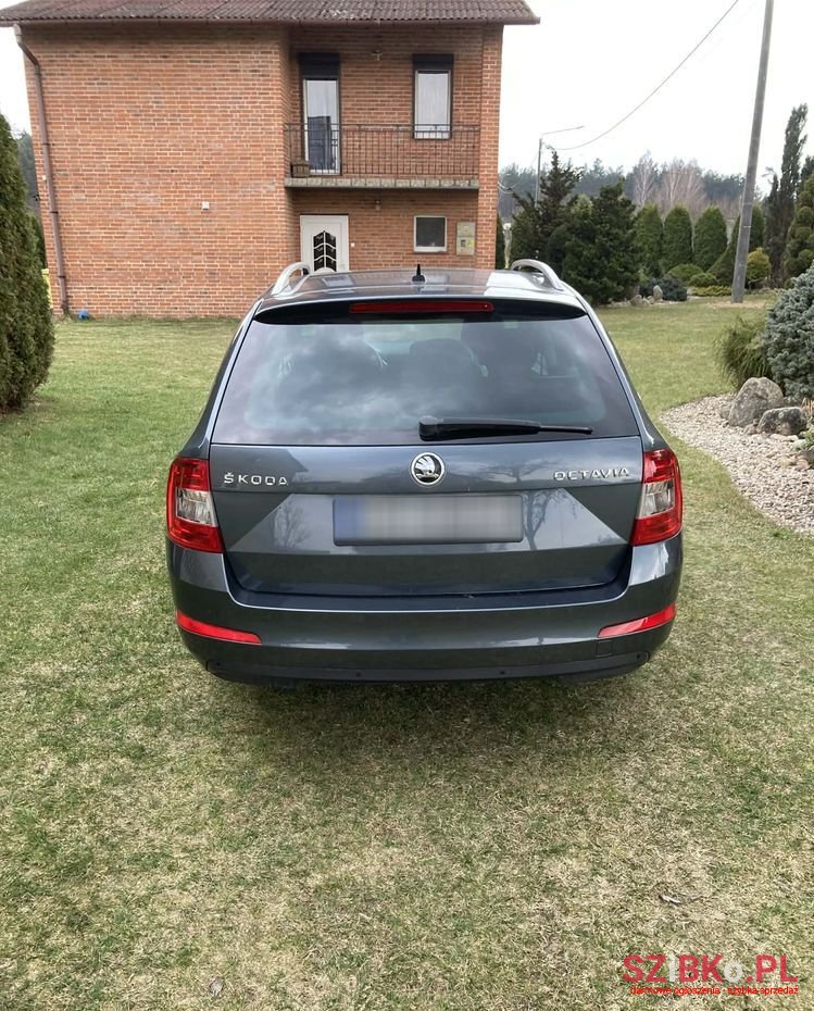 2015' Skoda Octavia photo #4
