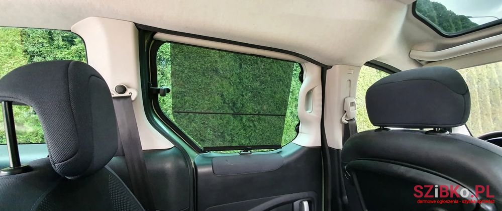 2009' Peugeot Partner Tepee 110 Family photo #4