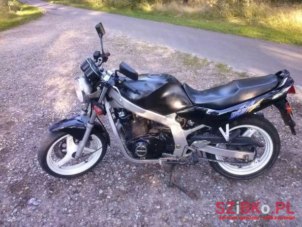 1995' Suzuki GS 500 photo #1