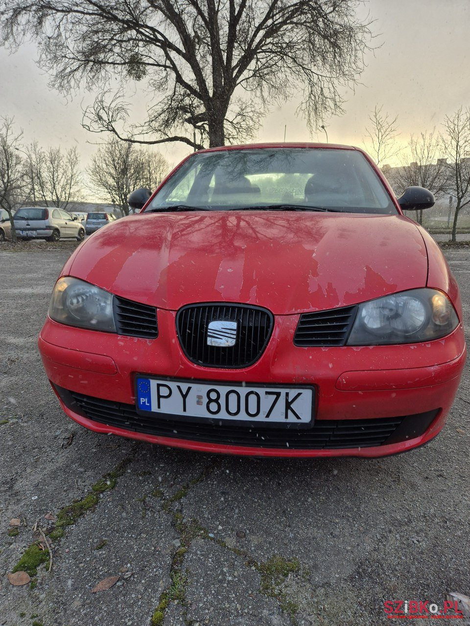 2003' SEAT Ibiza 1,4 16V Stella photo #7