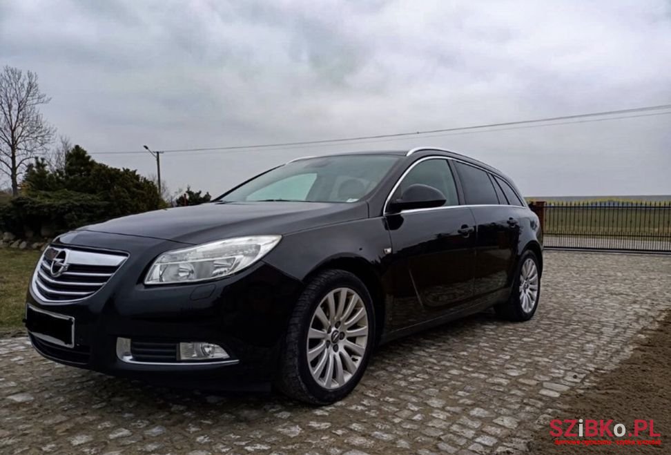 2010' Opel Insignia photo #1