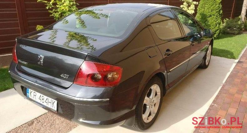 2005' Peugeot 407 photo #2