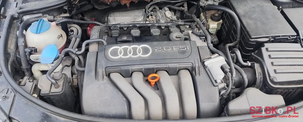 2004' Audi A3 3-Drzwiowe photo #5