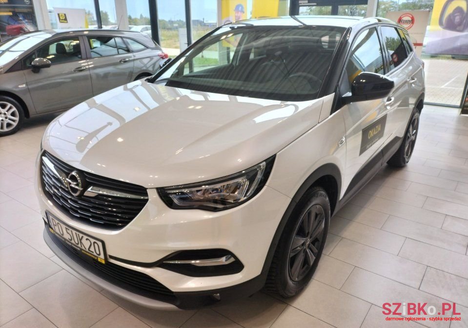 2021' Opel Grandland X photo #1