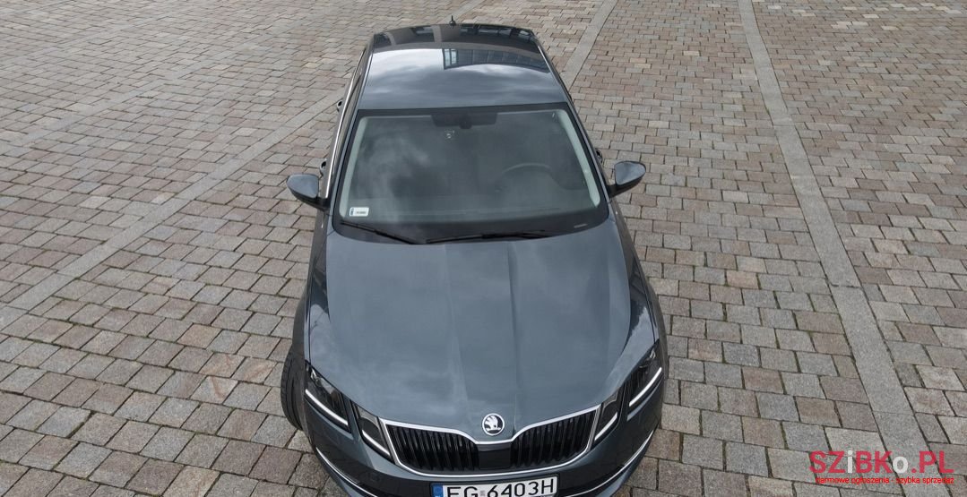 2017' Skoda Octavia photo #2