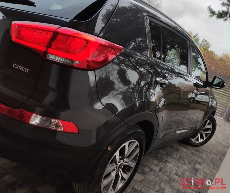 2014' Kia Sportage photo #5