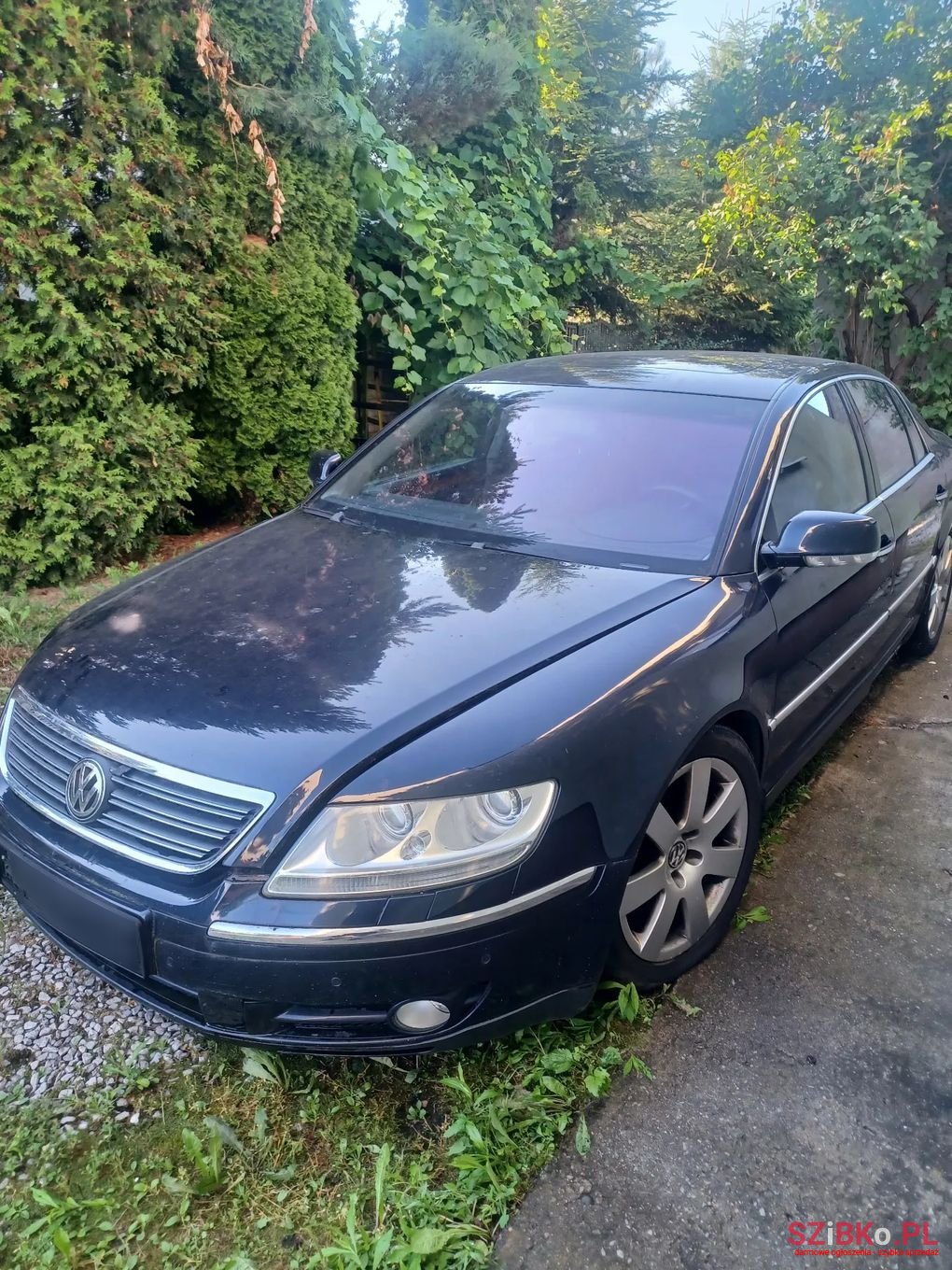 2004' Volkswagen Phaeton photo #1
