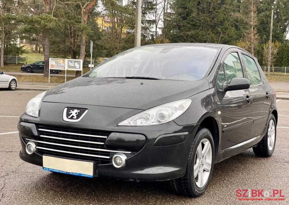 2005' Peugeot 307 Sport photo #1