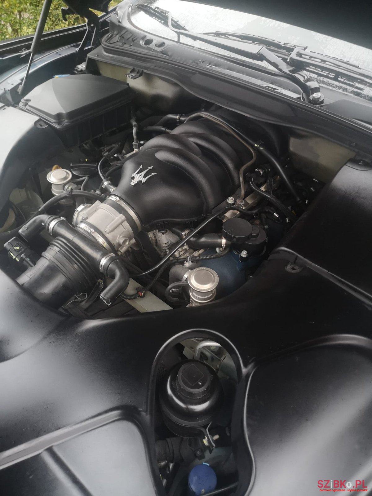 2008' Maserati GranTurismo 1 photo #5