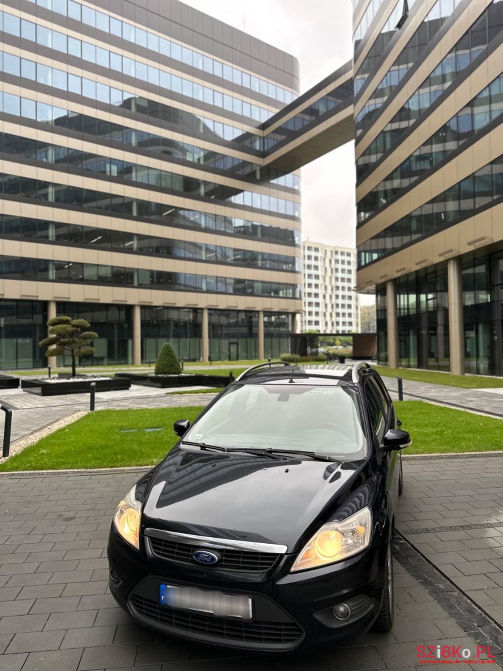 2010' Ford Focus photo #5