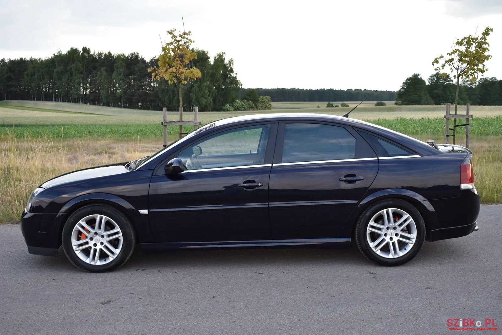 2004' Opel Vectra photo #3