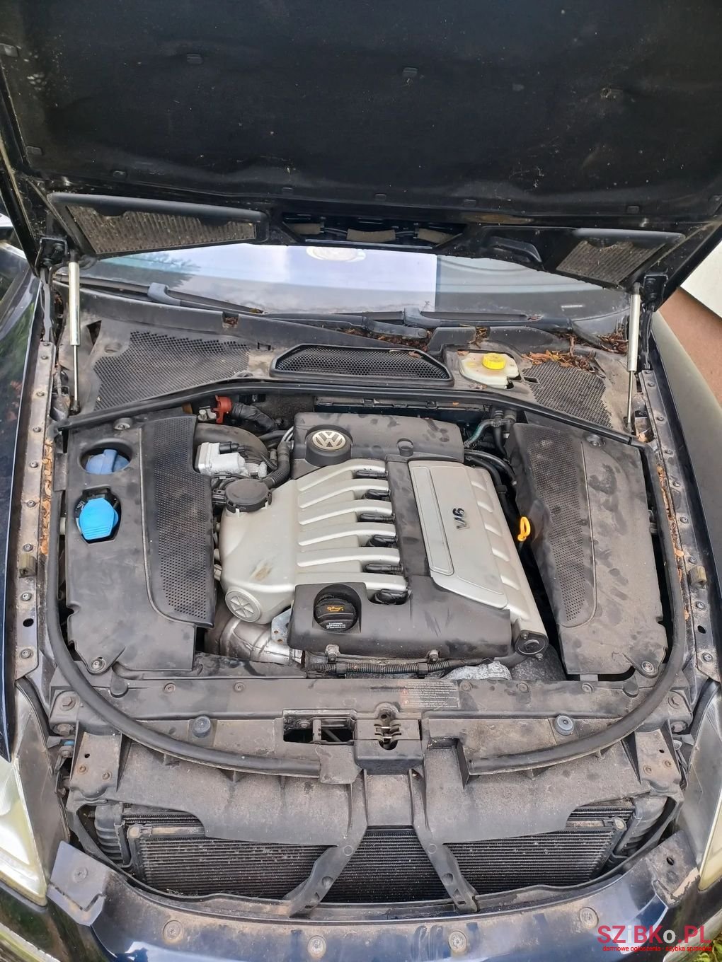 2004' Volkswagen Phaeton photo #3