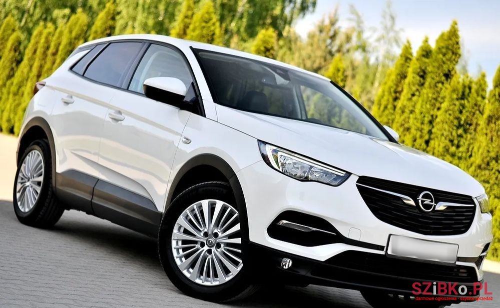 2018' Opel Grandland X photo #2