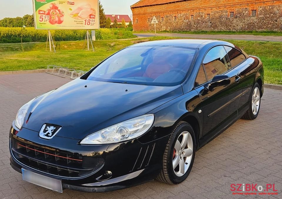 2009' Peugeot 407 photo #5