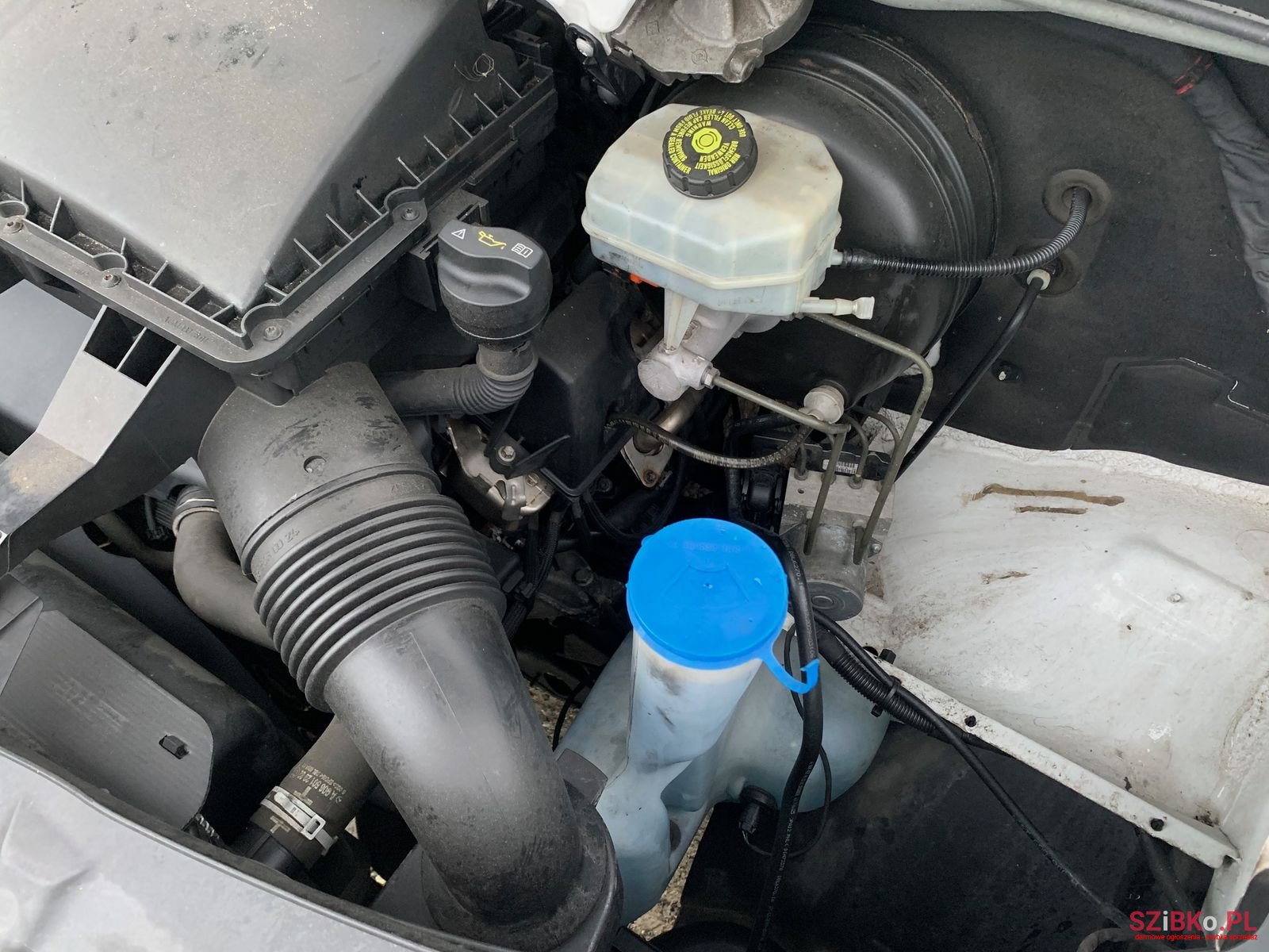 2010' Mercedes-Benz 516 CDI Sprinter photo #7