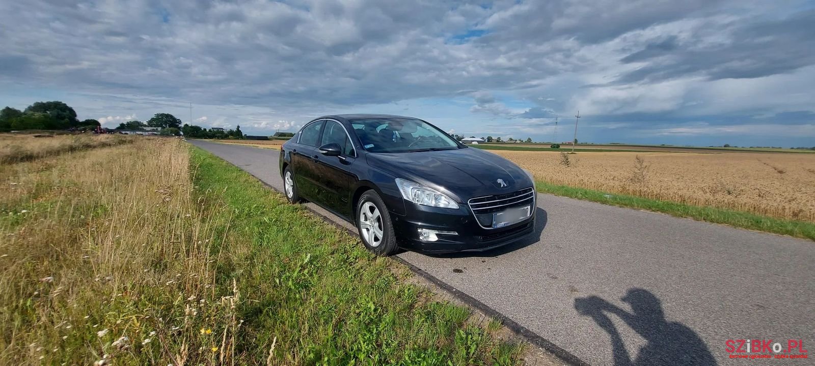 2012' Peugeot 508 photo #6