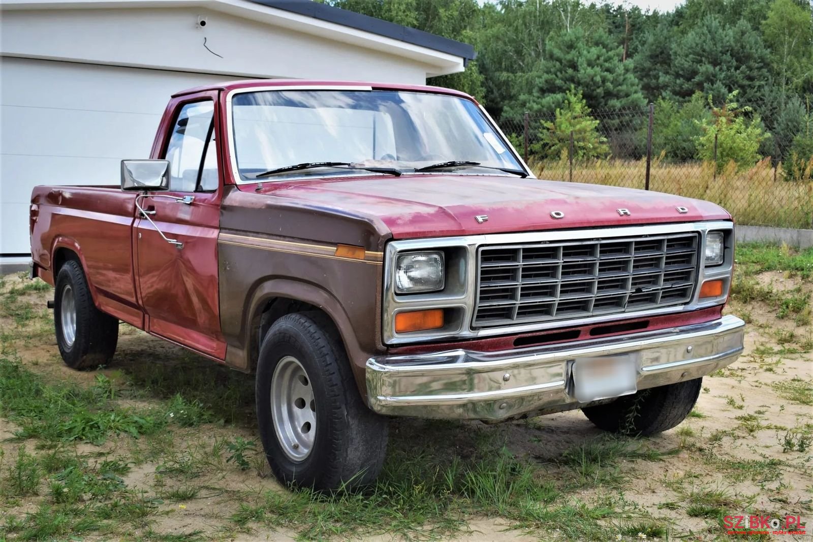 1981' Ford F-150 photo #4