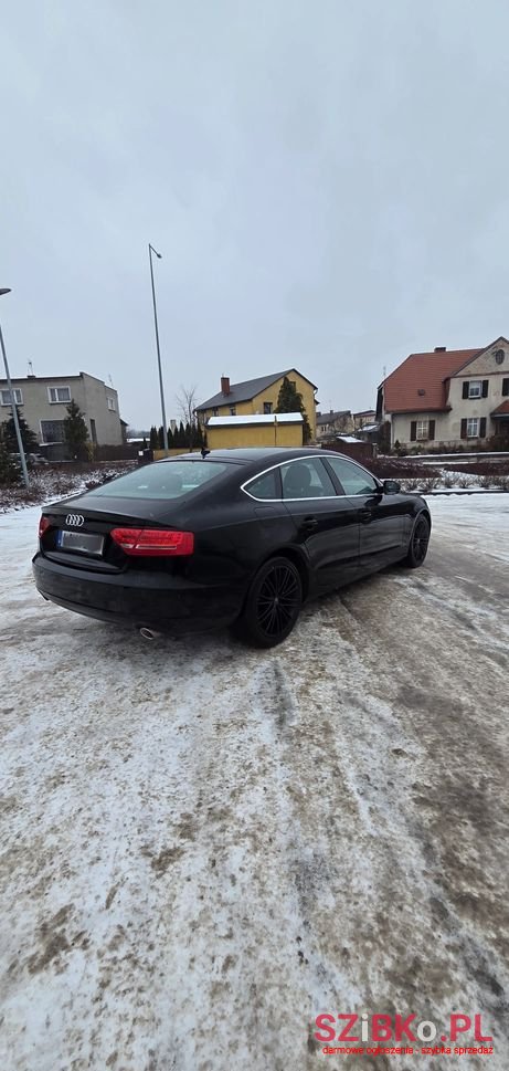 2010' Audi A5 Sportback photo #5