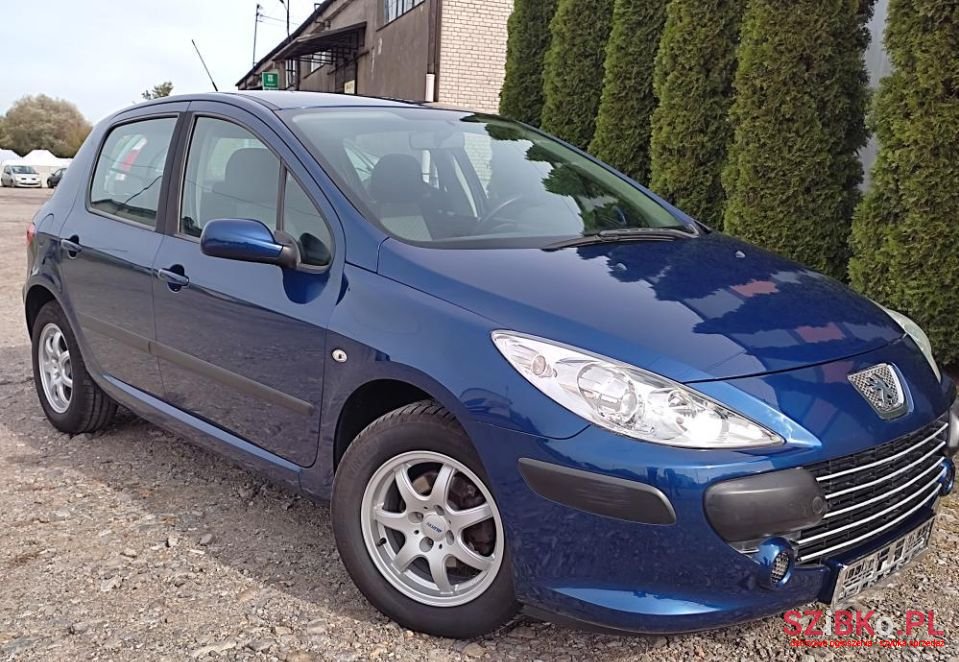 2006' Peugeot 307 photo #3