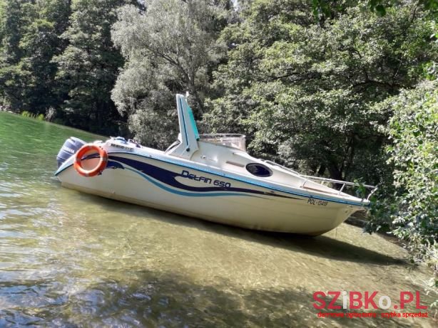 2004' Delfin (Дельфин) photo #1