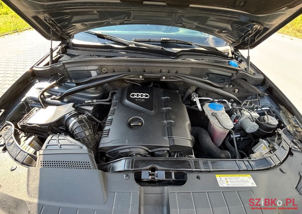 2009' Audi Q5 photo #6