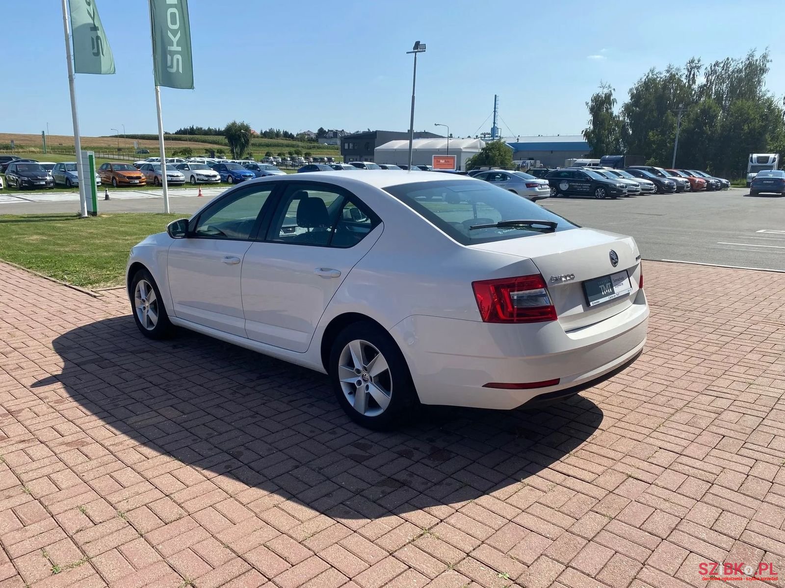 2019' Skoda Octavia photo #5