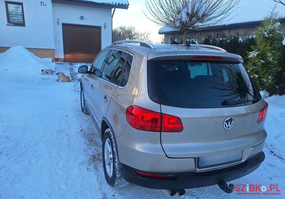 2011' Volkswagen Tiguan photo #5