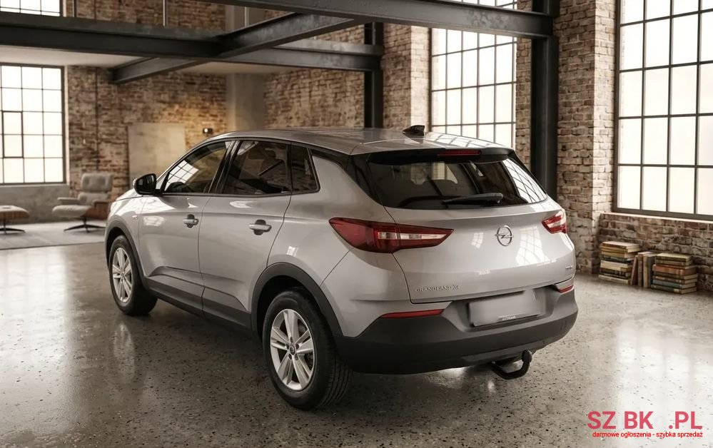 2018' Opel Grandland X photo #4