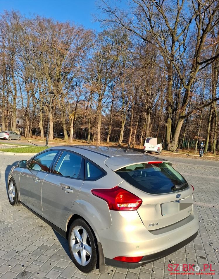 2014' Ford Focus photo #6