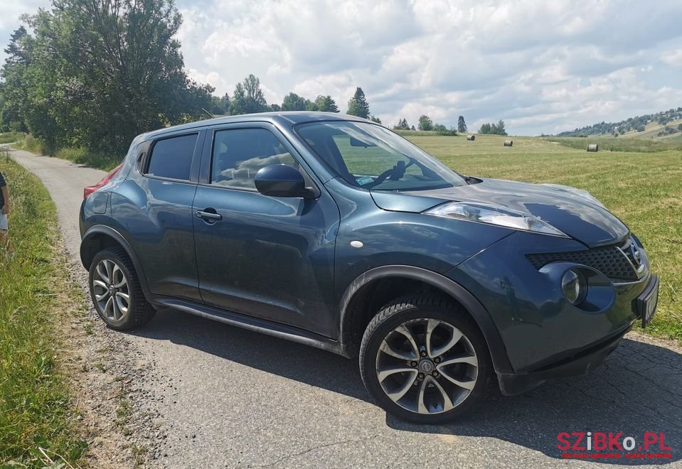 2013' Nissan Juke photo #2