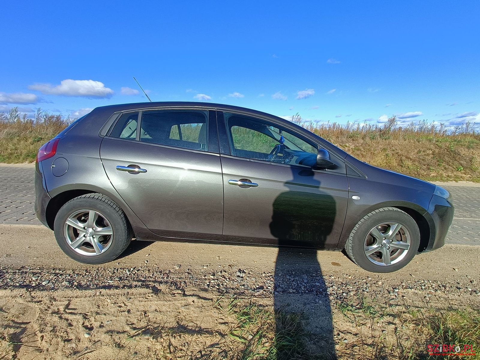 2011' Fiat Bravo photo #6