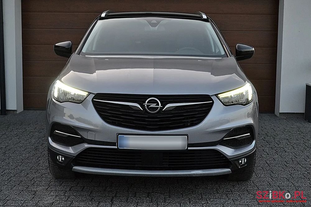 2019' Opel Grandland X photo #3