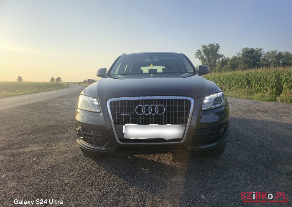2010' Audi Q5 photo #1