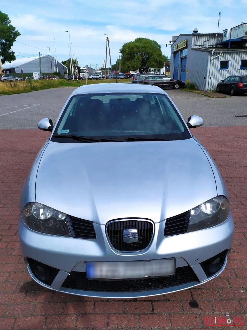 2008' SEAT Ibiza photo #1